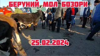 БЕРУНИЙ МОЛ БОЗОРИ 2-КИСМ 25.02.2024