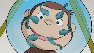 Jorge el Curioso en Español 🐵 Descubre los Renacuajos 🐵 Episodio Completo 🐵 Caricaturas Para Niños