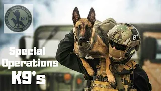 Special Operation's K9's | "Dogs Of War" | 2022