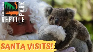 SANTA VISITS EARLY! | The Australian Reptile Park