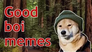 DANKEST DOGGO MEMES