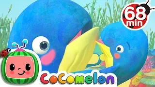 Mom and Baby Blue Whale Lullaby Song + More Nursery Rhymes & Kids Songs - CoComelon