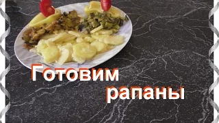 Готовим Рапаны