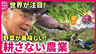 【大注目】水も肥料やらない!? 甘くて美味しい野菜ができる"耕さない農業"とは『every.特集』