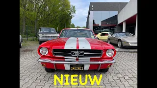 Ford Mustang 1965 “le mans “striping  39500€