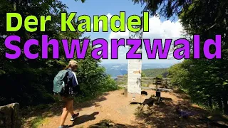 Der Kandel (Schwarzwald/Black Forest Germany🇩🇪🥾 🏔️) Natur pur- Ein Berg zum Verlieben!