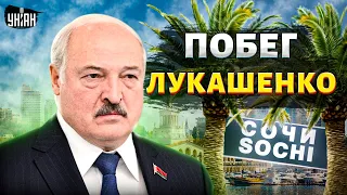 Срочная новость из Минска! Лукашенко надумал бежать. Найдена огромная резиденция в Сочи