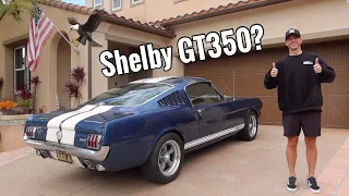 Buying a 1965 Ford Mustang Fastback!- Mint Condition!