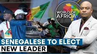 Senegal polls: Clock ticks as jailed candidates are released | World Of Africa