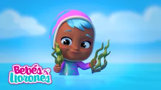 ¡ Encontramos ALGAS en el MAR ! 🌿 Bebés Llorones 💧 Lágrimas Mágicas 💕 Episodios Completos en Español