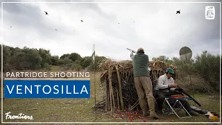 Partridge Shooting at Ventosilla
