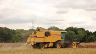 New Holland TF44 Harvest UK 2016 (HD)