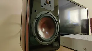 Dali Helicon 300mk2, Audio Aero SE amp sound test🎧🔥🎧