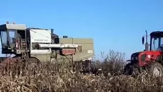 Corn Harvest "2015" Kukorica Aratás Fortschritt E 514 & MTZ 952.4