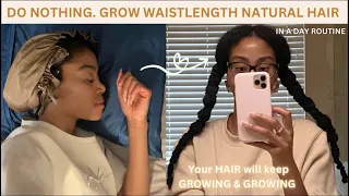 DO NOTHING, GROW WAISTLENGTH HAIR. LITERALLY. MY ROUTINE - 4C waistlength hair journey #4c #growhair