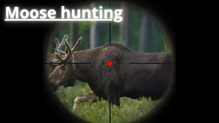 Moose Hunting 2023 - Ultimate Moose Hunting Adventure: Tracking the Majestic Giants of the Wildernes