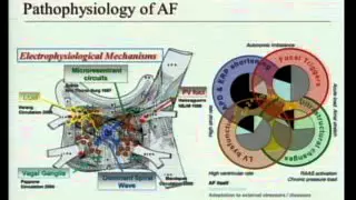 Medicine Grand Rounds 1-12-16