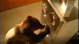 2001 Cornflakes Bear Woken Up Advert