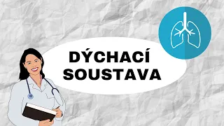 DÝCHACÍ SOUSTAVA - Horní a dolní dýchací cesty