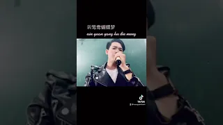 [ 🎶🀄️ 歌曲:新鸳鸯蝴蝶梦 表演：飞成老师 ] Uyên Ương Hồ Điệp // Khi nghe lại ca khúc này chắc chúng ta đã già .