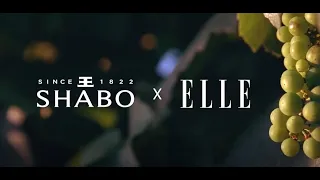 ELLE x Shabo girls party 2020