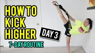 How to Kick Higher for Martial Arts (Day 3 Routine)