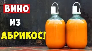 ВИНО ИЗ АБРИКОСОВ / Абрикосовое Вино / ПРОСТОЙ РЕЦЕПТ / Apricot Wine