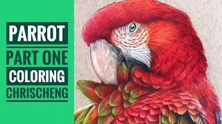 PARROT - Part 1: Bird Coloring // Chris Cheng