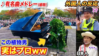 【ピアノドッキリ】日本で不人気の植物男がプロのピアニストだったら…？ 【よみぃ×ゆゆうた×ずま】（世界に一つだけの花,FLOWER,桜,めざせポケモンマスター,etc…）
