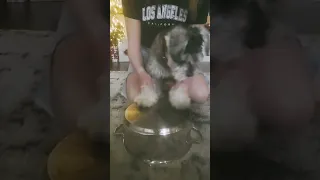 Puppy Drums! subscribe