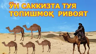 ЎН САККИЗТА ТУЯ топишмоқ ривоят эшитинг