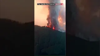 Tenerife Disaster | Emergency Crews Battle Raging Wildfire In Tenerife | Tenerife Wildfire | News18