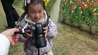 Фестиваль тюльпанов в Корее