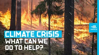 Here’s How We Can Fight The Global Climate Crisis
