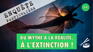 Les Sirènes - Du mythe à la réalité, à l'extinction !