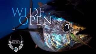 "Wide Open" (Trailer) - Official Selection, IF4™ 2016