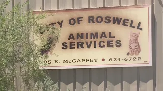 Roswell city council moves forward with animal partnership