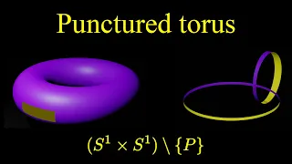 Punctured torus homeomorphism