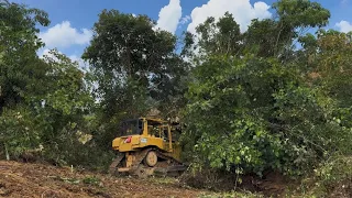 The CAT D6R XL Bulldozer is the fastest heavy equipment to build clove plantations