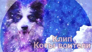 °клип°~коты воители~