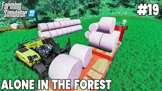 Making 3 New Forest Fields... - Farming Simulator 22 Timelapse