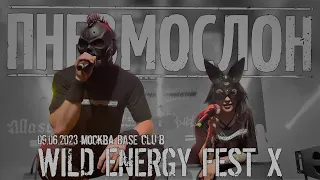 ПНЕВМОСЛОН - 09.06.2023 Wild Energy Fest X (Москва,"BASE club") live