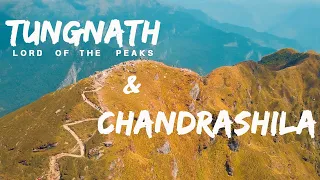 Chopta Tungnath & Chandrashila Trek | Chandrashila Drone View | Kedarnath Yatra Ep-4