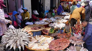 Cambodian Dry Fish Market Scene - Massive Kind of Dry Fish, Frog, Beef & More Buffalo In Dry Market