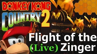 Flight of the Zinger - Donkey Kong Country 2 Jazz // Jazztick