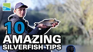 10 Amazing Silverfish Secrets