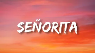 Señorita- Shawn Mendes & Camila Cabello [lyricvideo]