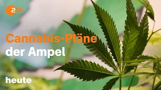 heute 19:00 Uhr vom 12.04.2023: Cannabis-Legalisierung, Notstand in Italien, Inflation (english)