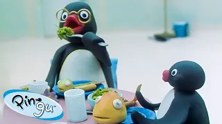 Pingu's Family 🐧 | Pingu - Official Channel | Cartoons For Kids