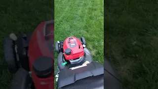 Honda HRN 216 Lawn Mower Review! Best mower!